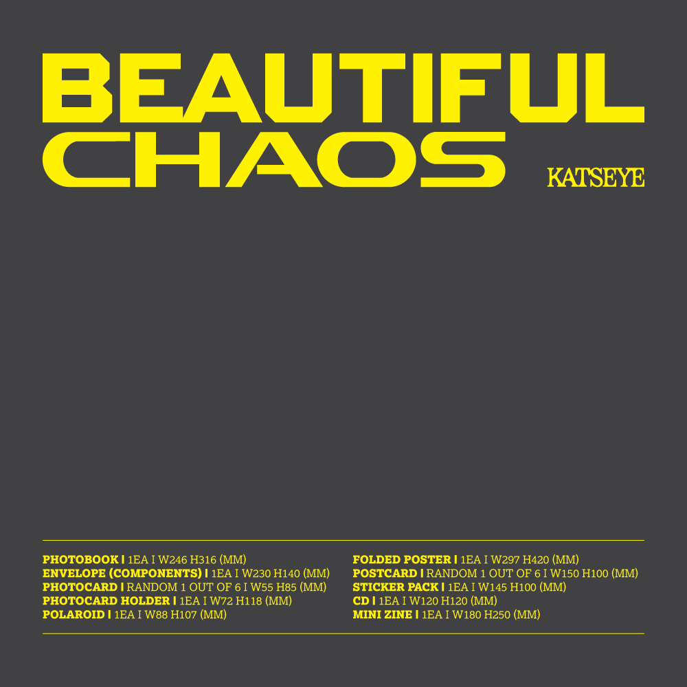BEAUTIFUL CHAOS (Chaotic Ver.) - CD