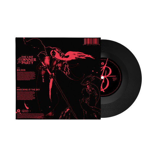 Big Dog / Knocking at the Sky - Vinilo 7"