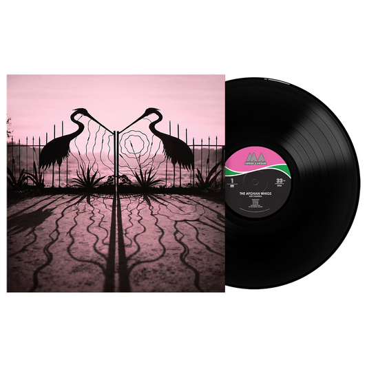 Soft Control - Vinilo