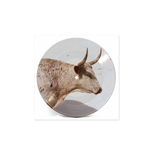Middle Of Nowhere Vinilo Exclusivo Tienda Horny Picture Disc