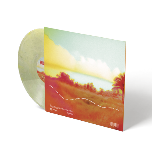 How Did I Get Here? - Vinilo (Edición Limitada Color Amarillo y Blanco Marmolado)