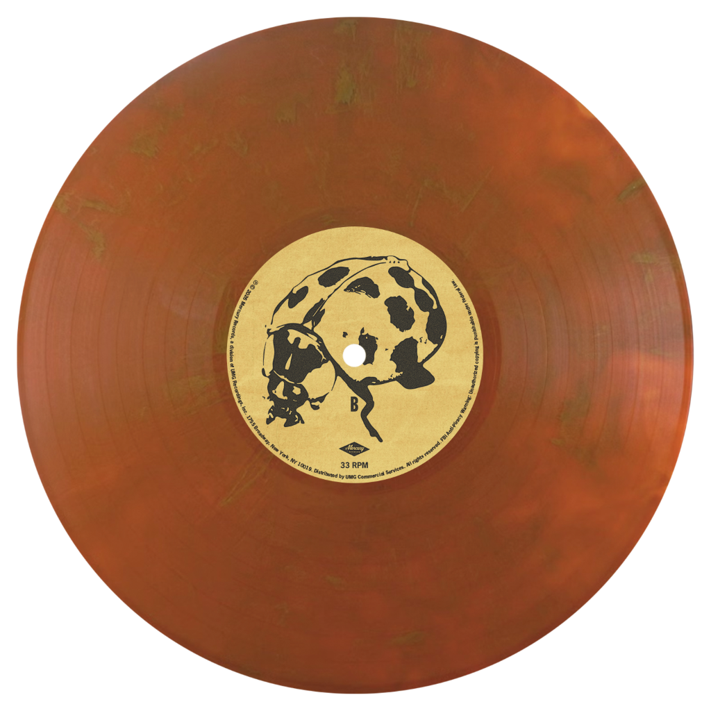 The Great Divide Vinilo American Rust