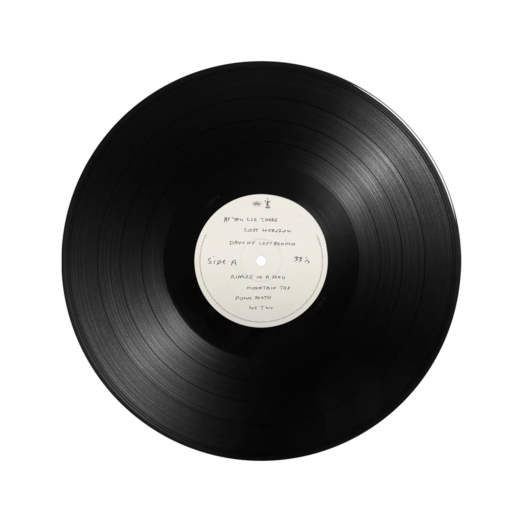 The Boys Of Dungeon Lane - Vinilo