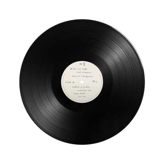 The Boys Of Dungeon Lane - Vinilo