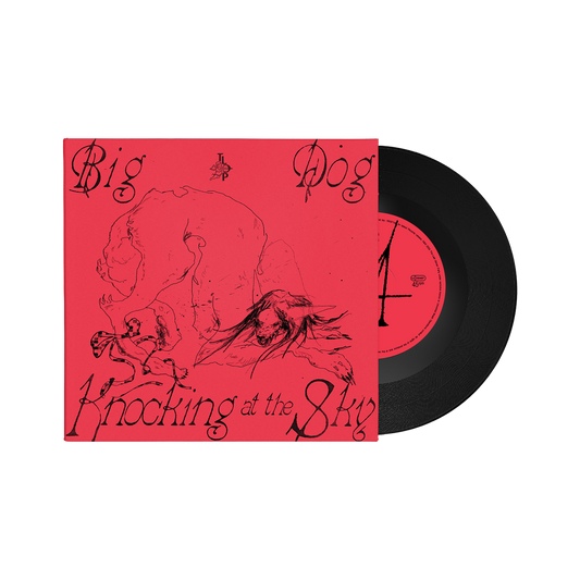 Big Dog / Knocking at the Sky - Vinilo 7"