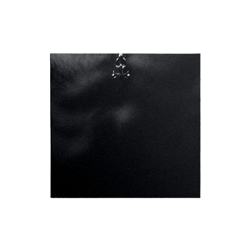 Idols - CD (Edición Exclusiva Collectible Collage 3 de 6)