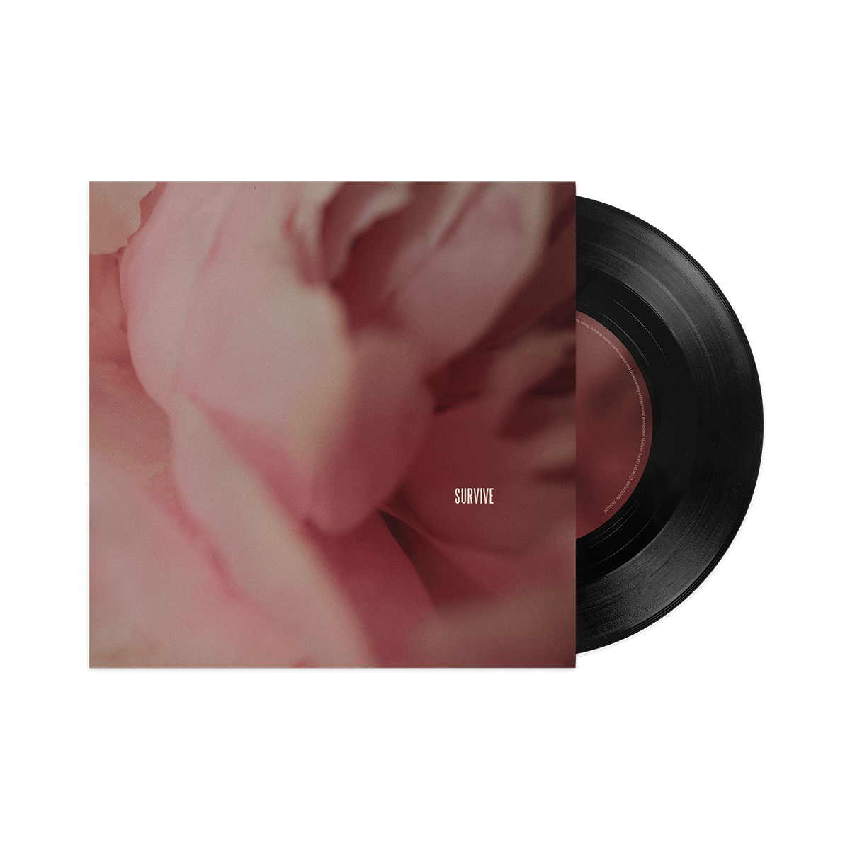 Something In The Heavens - Vinilo 7" (Edición Exclusiva)