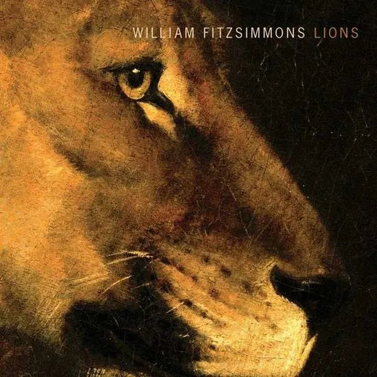 william-fitzsimmons-lions-vinilo-lp