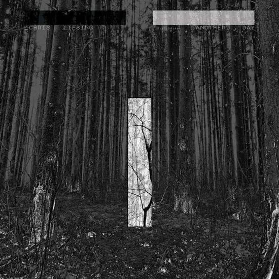 chris-liebing-another-day-vinilo-lp
