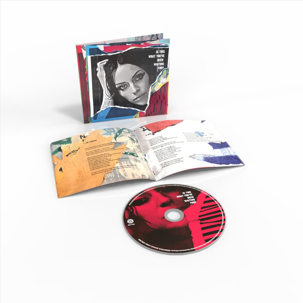 Is This What You’ve Been Waiting For?  - CD