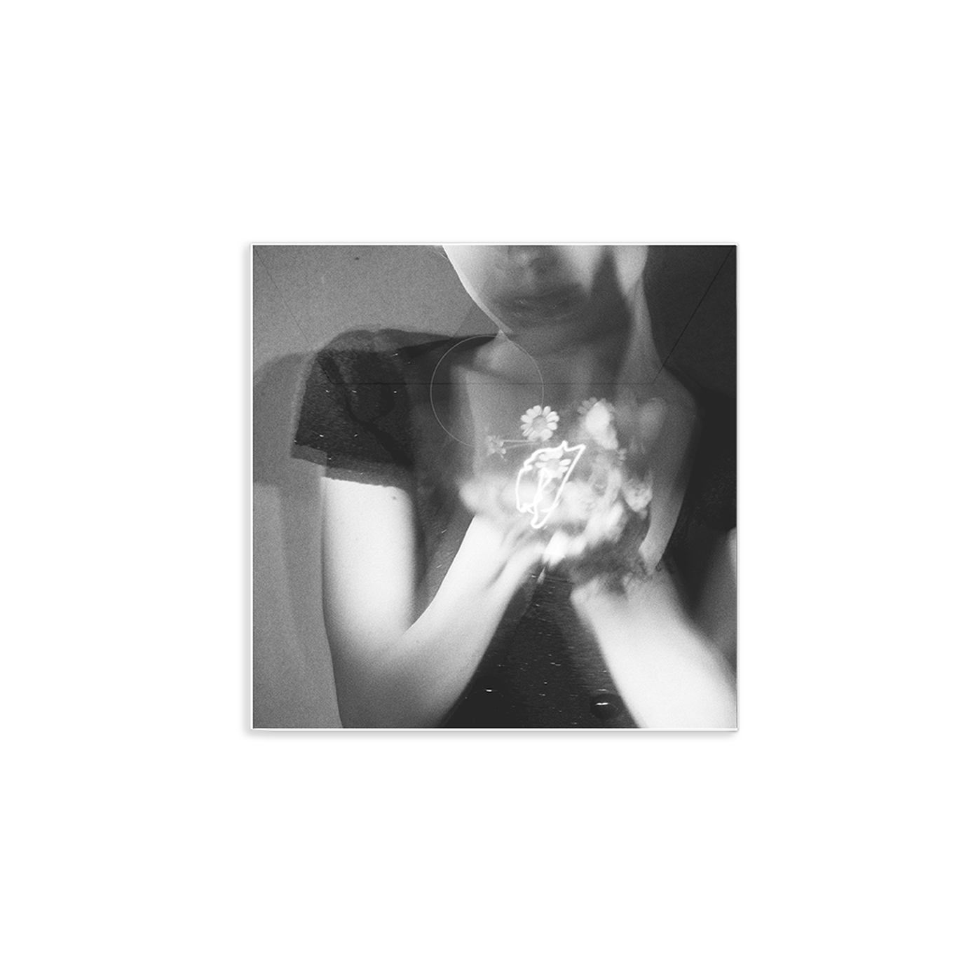 petal exclusive picture disc