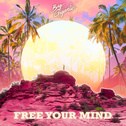 big-gigantic-free-your-mind-cd-cd