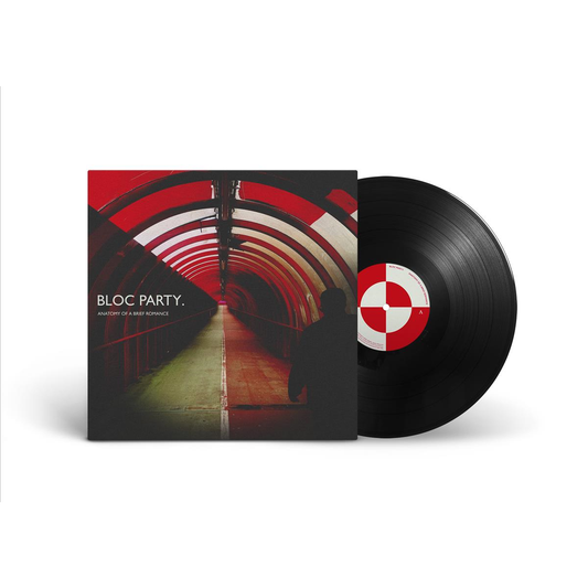 Anatomy Of A Brief Romance - Vinilo