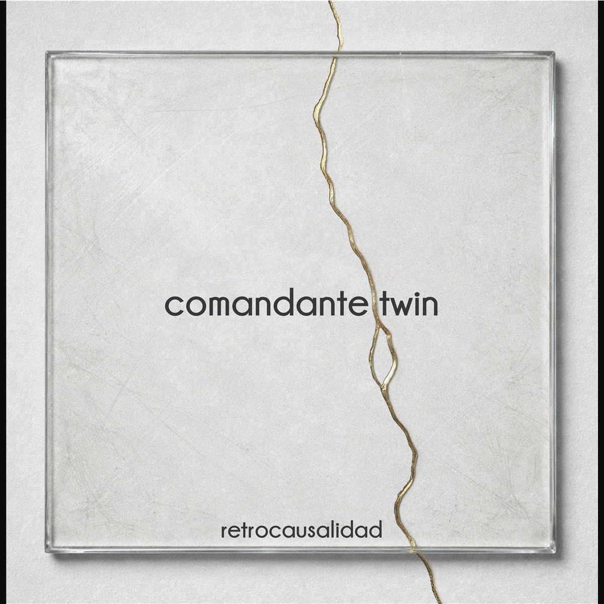 Retrocausalidad - Vinilo