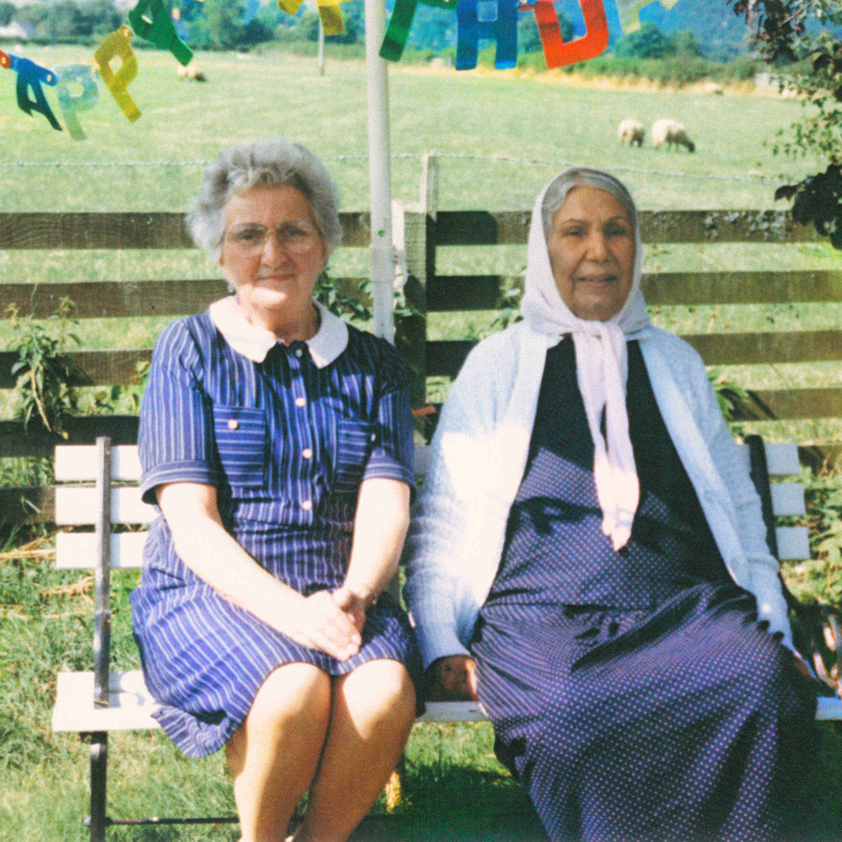 dauwd-theory-of-colours-cd-cd