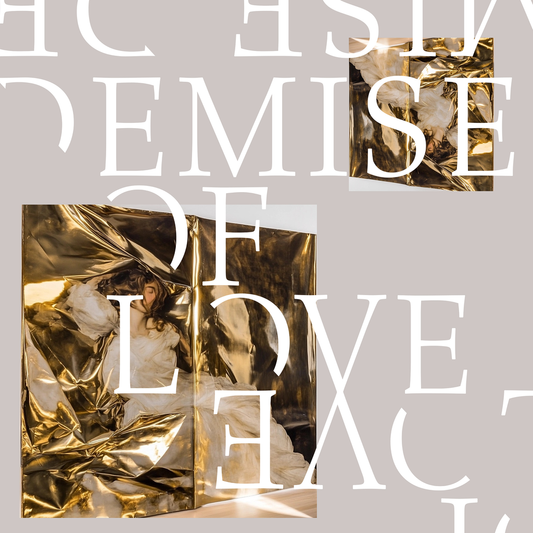 Demise Of Love - Vinilo 10" (Edición Limitada)