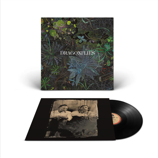 Dragonflies - Vinilo