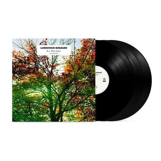 In a Time Lapse - Vinilo (3LP)