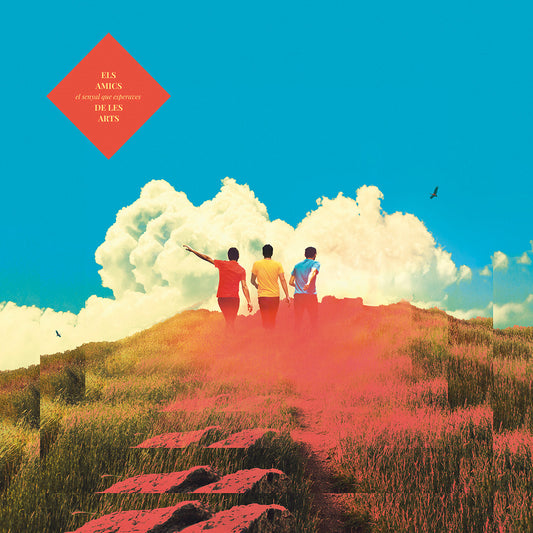 El Senyal Que Esperaves - Vinilo