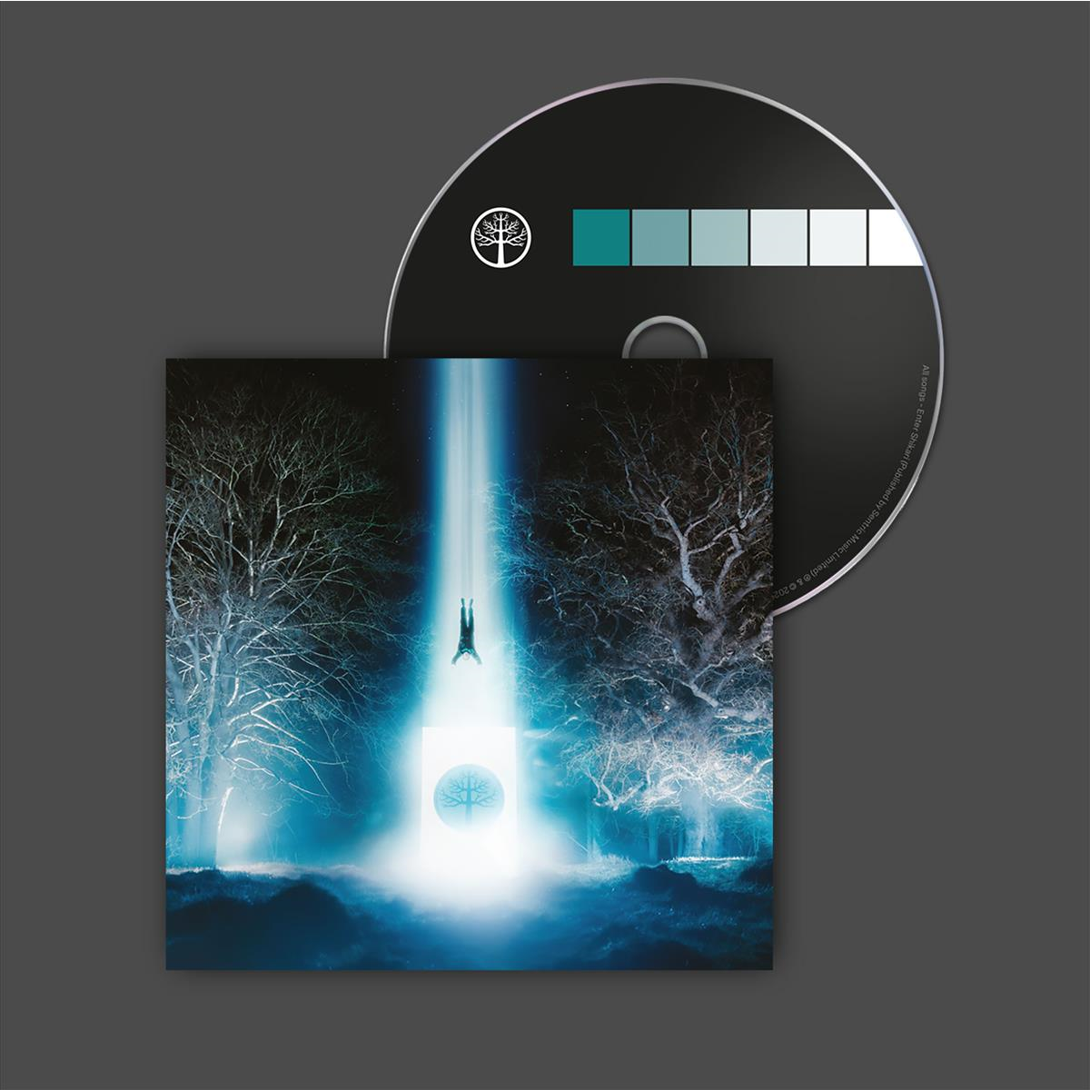 Lose Yourself - CD
