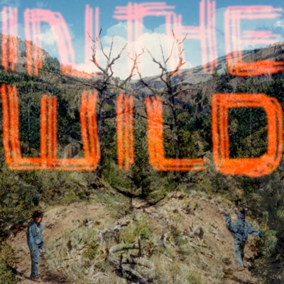 falty-dl-in-the-wild-cd-cd