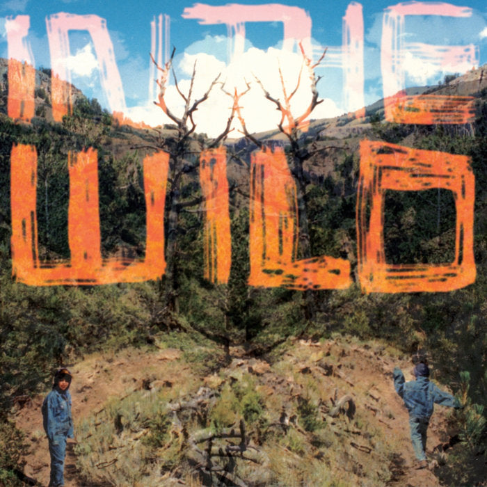 falty-dl-in-the-wild-vinilo-2lp