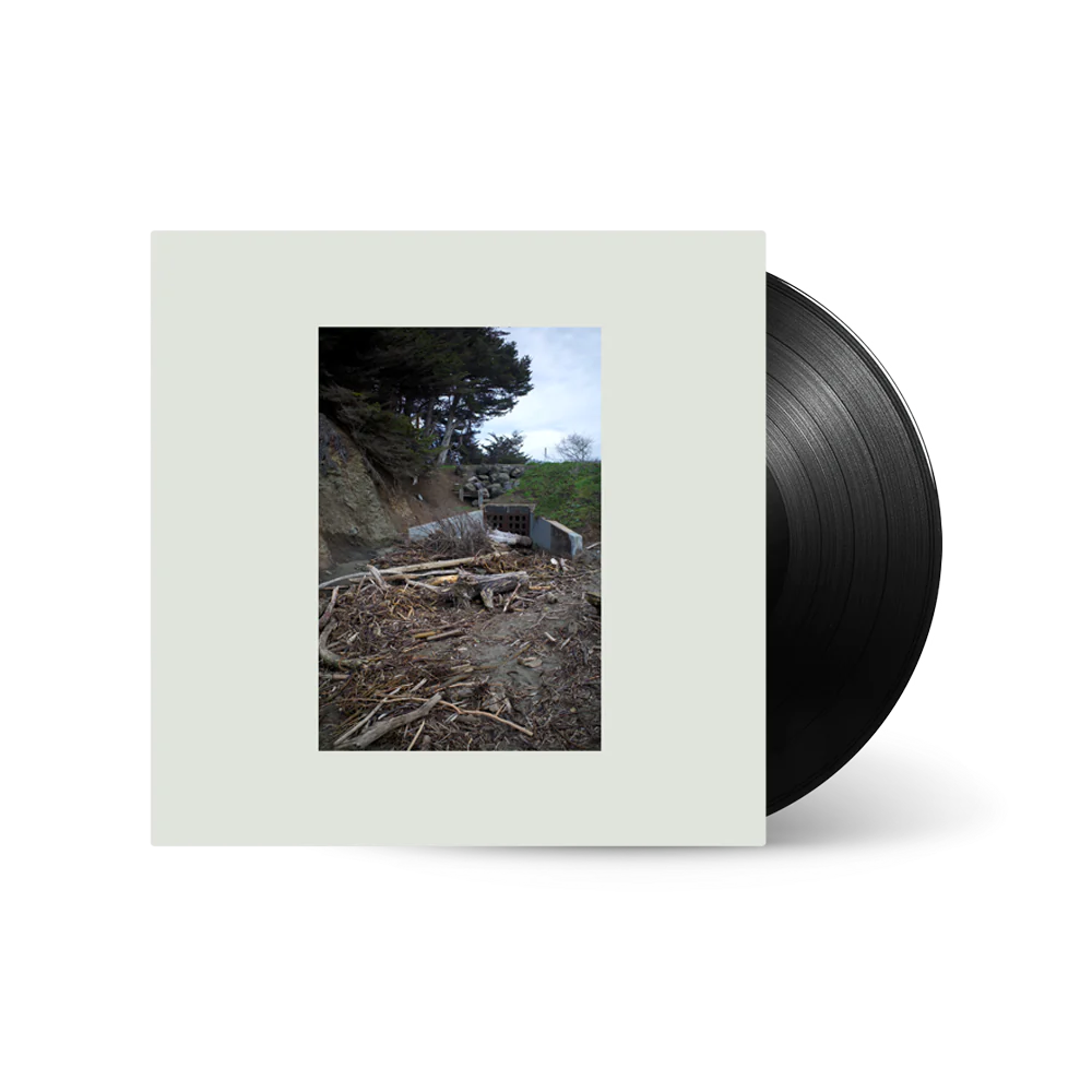 Five Easy Hot Dogs - Vinilo