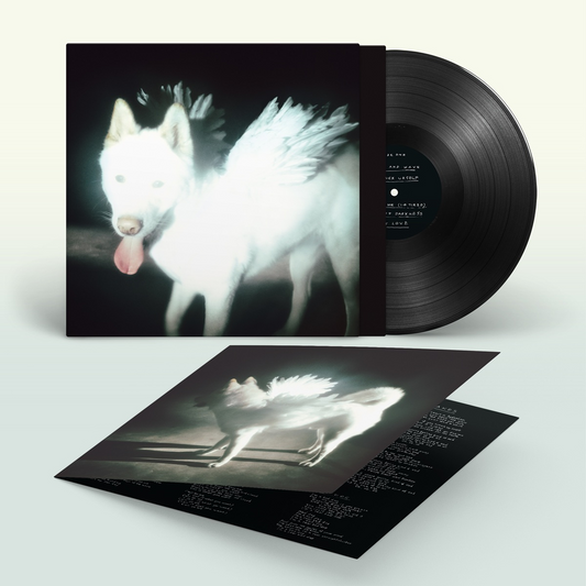 Cancel Me (I’m Tired) - Vinilo