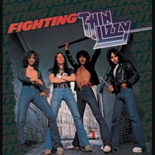 Fighting - Vinilo