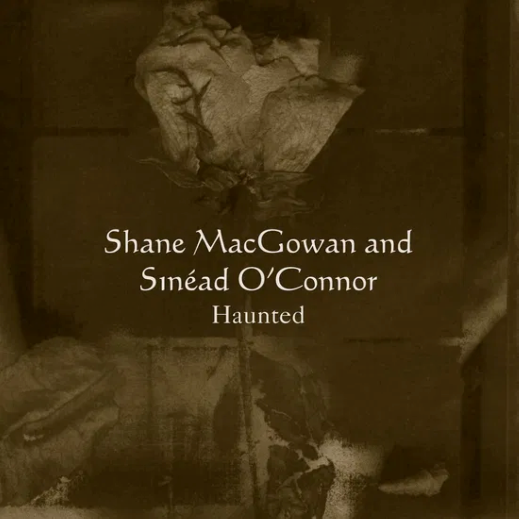 Haunted - Vinilo (Transparente)