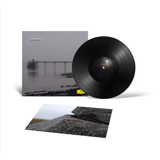 Without Sinking - Vinilo