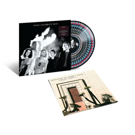 Celebrity Skin - Vinilo (Efecto Zoetrope)