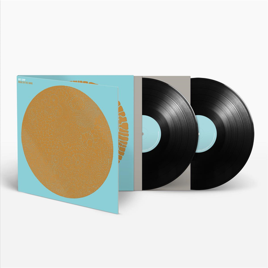 Made in the Dark - Vinilo (2LP)