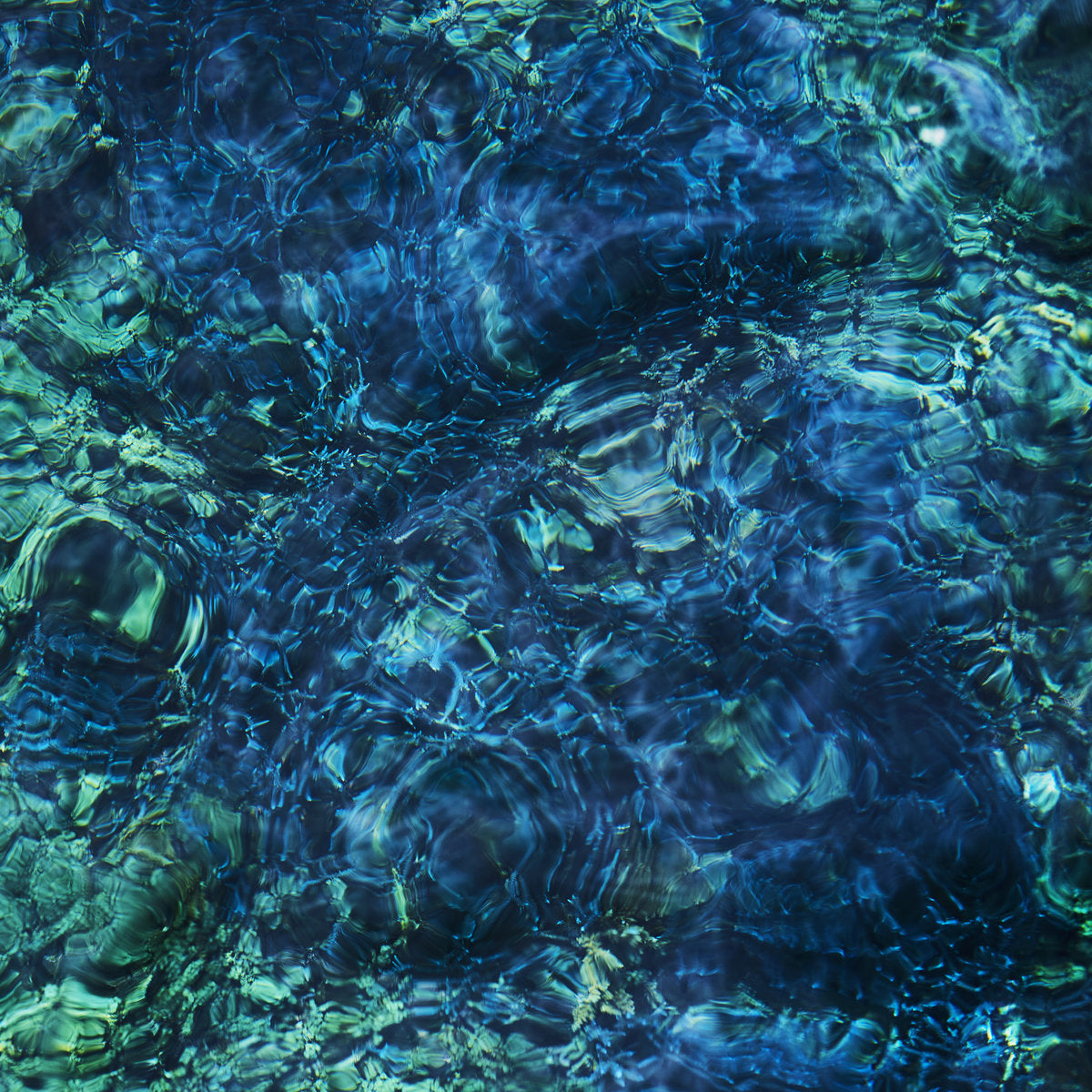 Luminescent Creatures - CD
