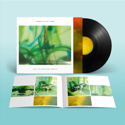 Lost In Another World - Vinilo