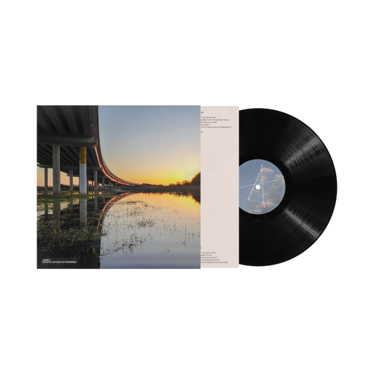 Ghosts (100 Days of Morning) - Vinilo