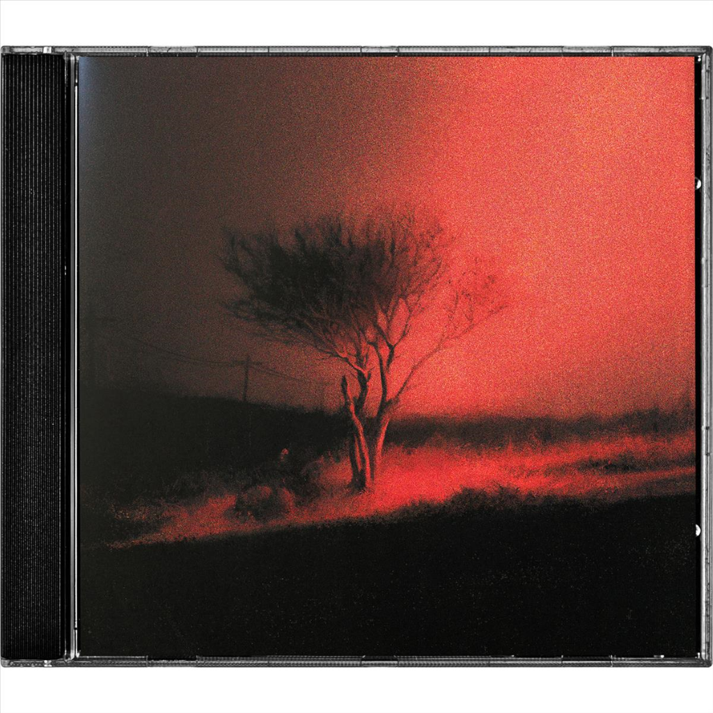 Piss In The Wind   - CD