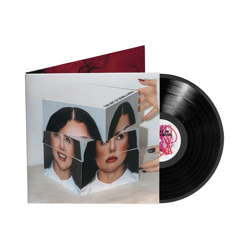 The Art of Being A Mess - Vinilo