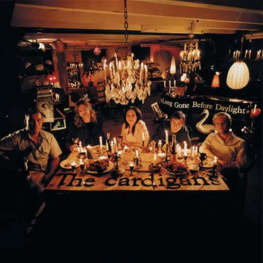 Long Gone Before Daylight  - Vinilo (2LP)