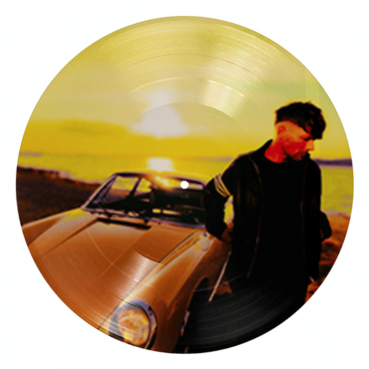 How Did I Get Here - Vinilo (Edición Exclusiva Picture Disc)