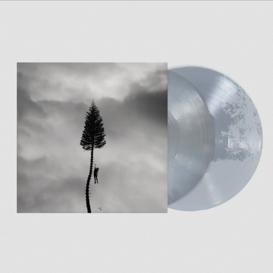 A Black Mile To The Surface - Vinilo (Edición Deluxe Color Plata 2LP)