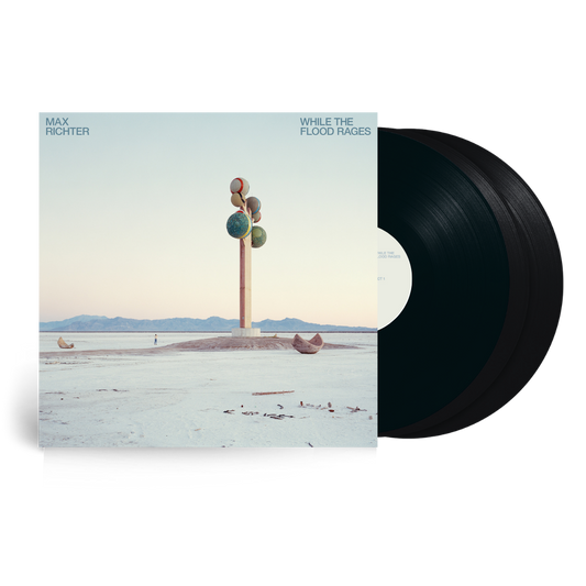 While The Flood Rages - Vinilo (Grabado en Cara D 2LP)