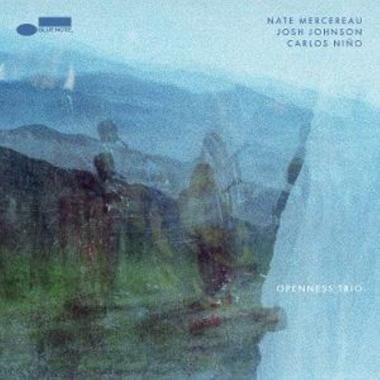 Openness Trio - CD