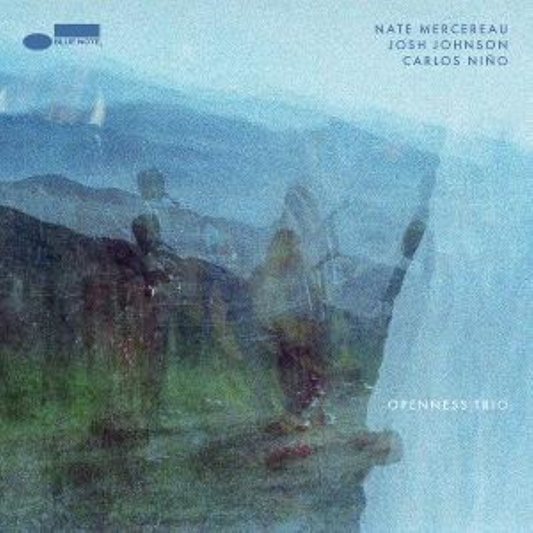 Openness Trio - LP