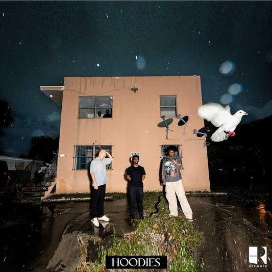 Hoodie - Vinilo