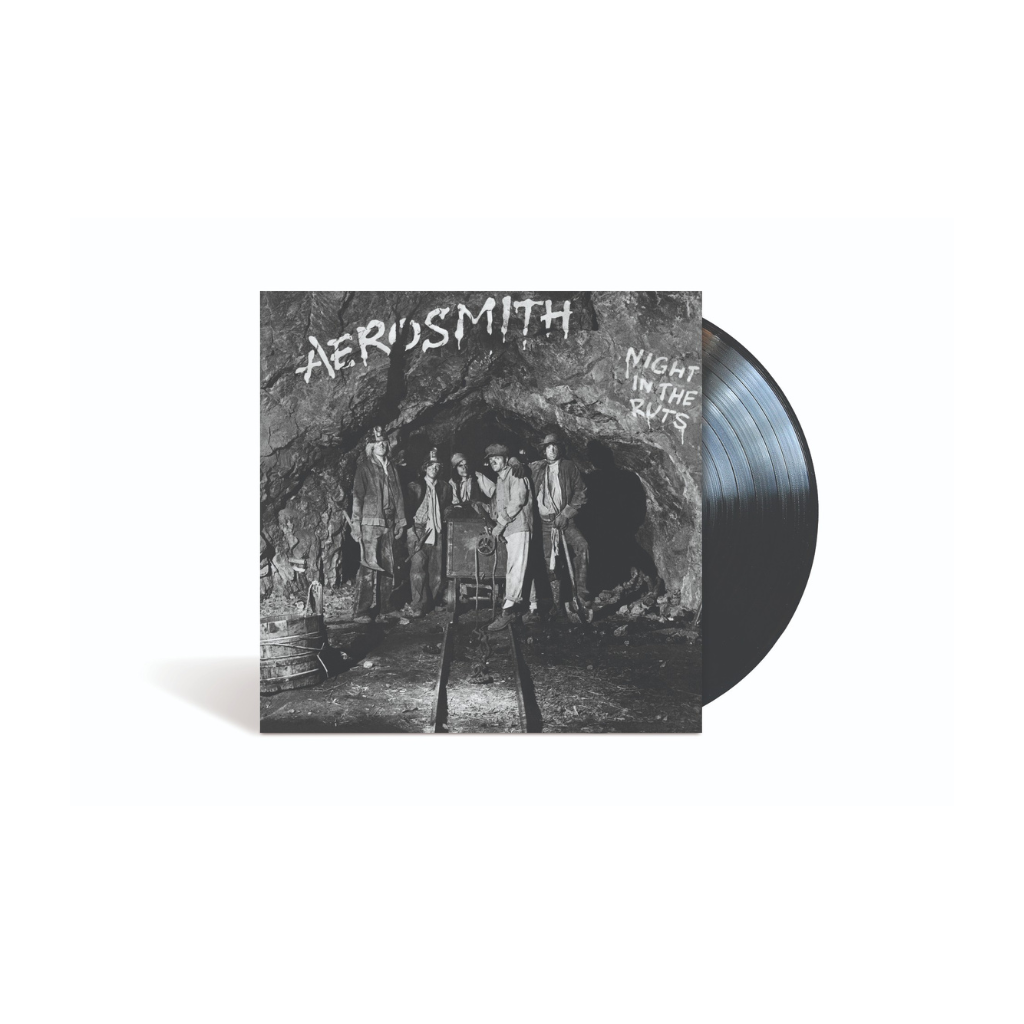 Night In The Ruts - Vinilo