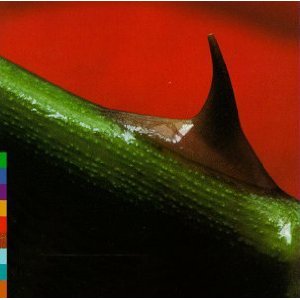 nusrat-fateh-ali-khan-and-party-night-song-cd-cd