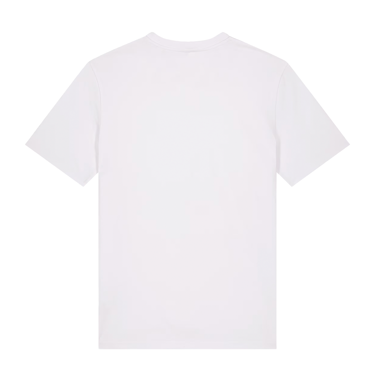 Camiseta Destroyer Tour