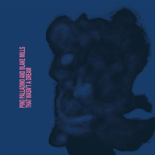 That Wasn't A Dream - CD