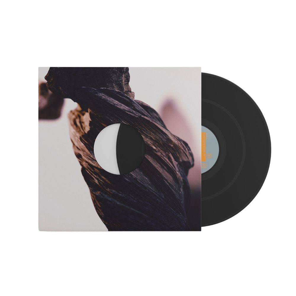 The Night The Zombies Came - Vinilo